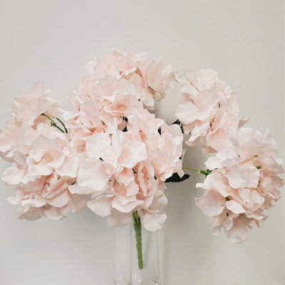 Hortensia