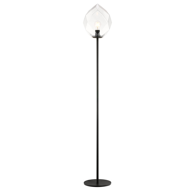 Chun 163cm Black Traditional Floor Lamp, Clear