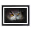 A Great Horned Owl - Picture Frame Graphic Art Print-56875879-56875878
