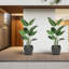 Pots à plantes d'intérieur et d'extérieur avec plateau Kozyard 4Packs Taper-702526693-702526618