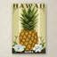 Ananas, impression sur toile tendue-21939803