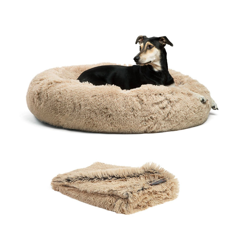 Medium Orthopedic Elevated Donut Dog Bed with Blanket