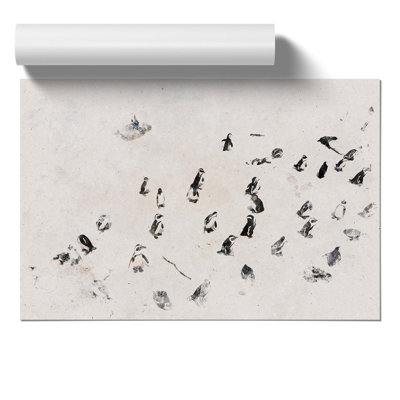Penguin Beach Watercolour - Frameless Print