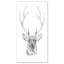 Cerf en noir et blanc - impression sur toile tendue-29495843