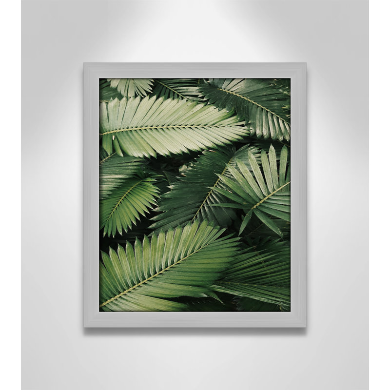 «Island Ferns» par Vickholius Nugroho - reproduction d'un seul cadre, Cadre argenté mat, H 15 po x l 13 po x P 1,25 po