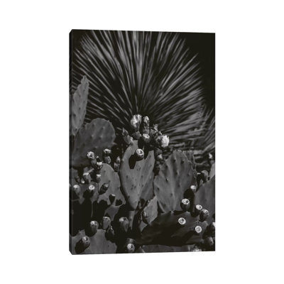 Monochrome Cactus 1 Piece Wall Art on Canvas