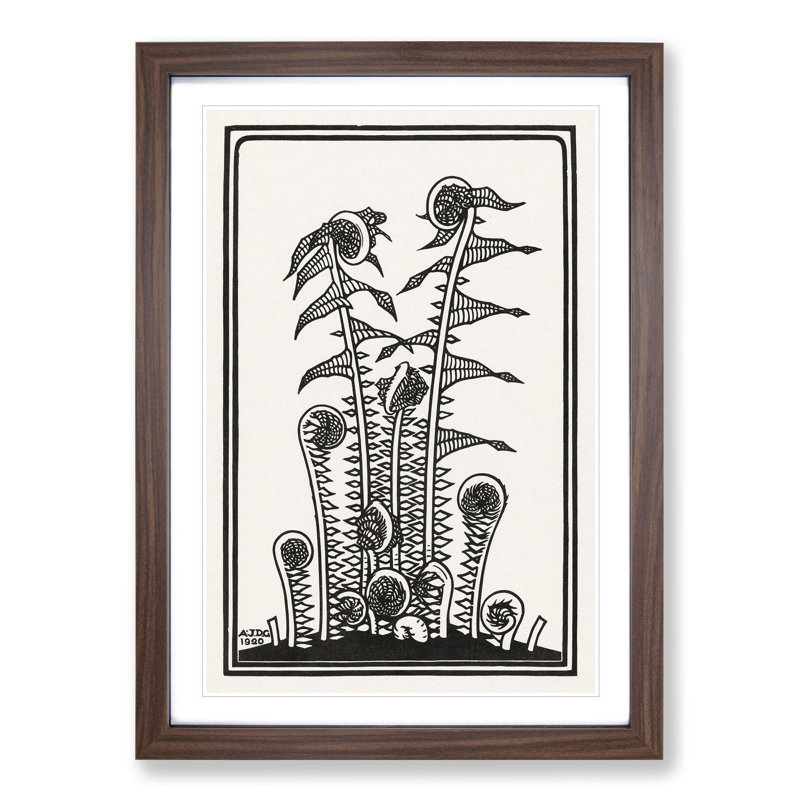 Ferns by Julie De Graag - Picture Frame Graphic Art, Walnut Framed, 36cm H x 27cm W x 2cm D