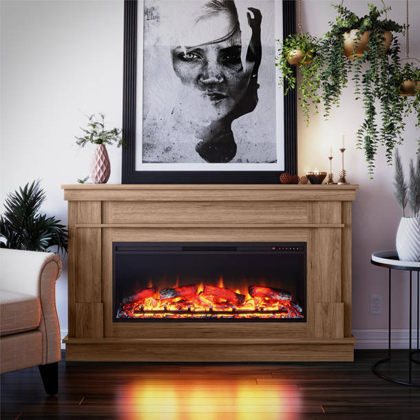 Trent Austin Design® Griffis 47.38'' W Electric Fireplace & Reviews ...