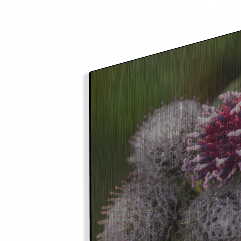 «Autumn 09» par Gordon Semmens, H 16 po x l 24 po