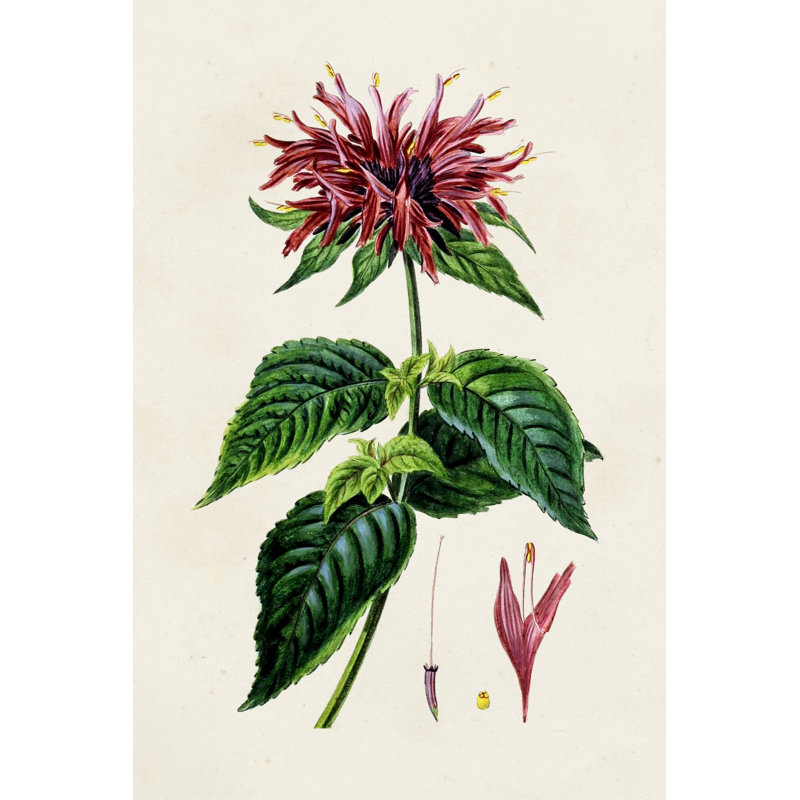 Dossier floral antique I, H 48 po x l 32 po x P 1,25 po