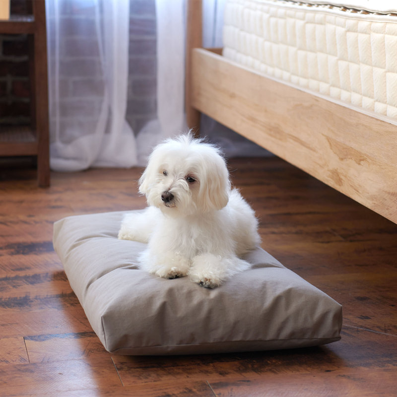 Naturepedic Organic Pet Bed with Washable Waterproof Cover, 35" H x 22" W x 4" D