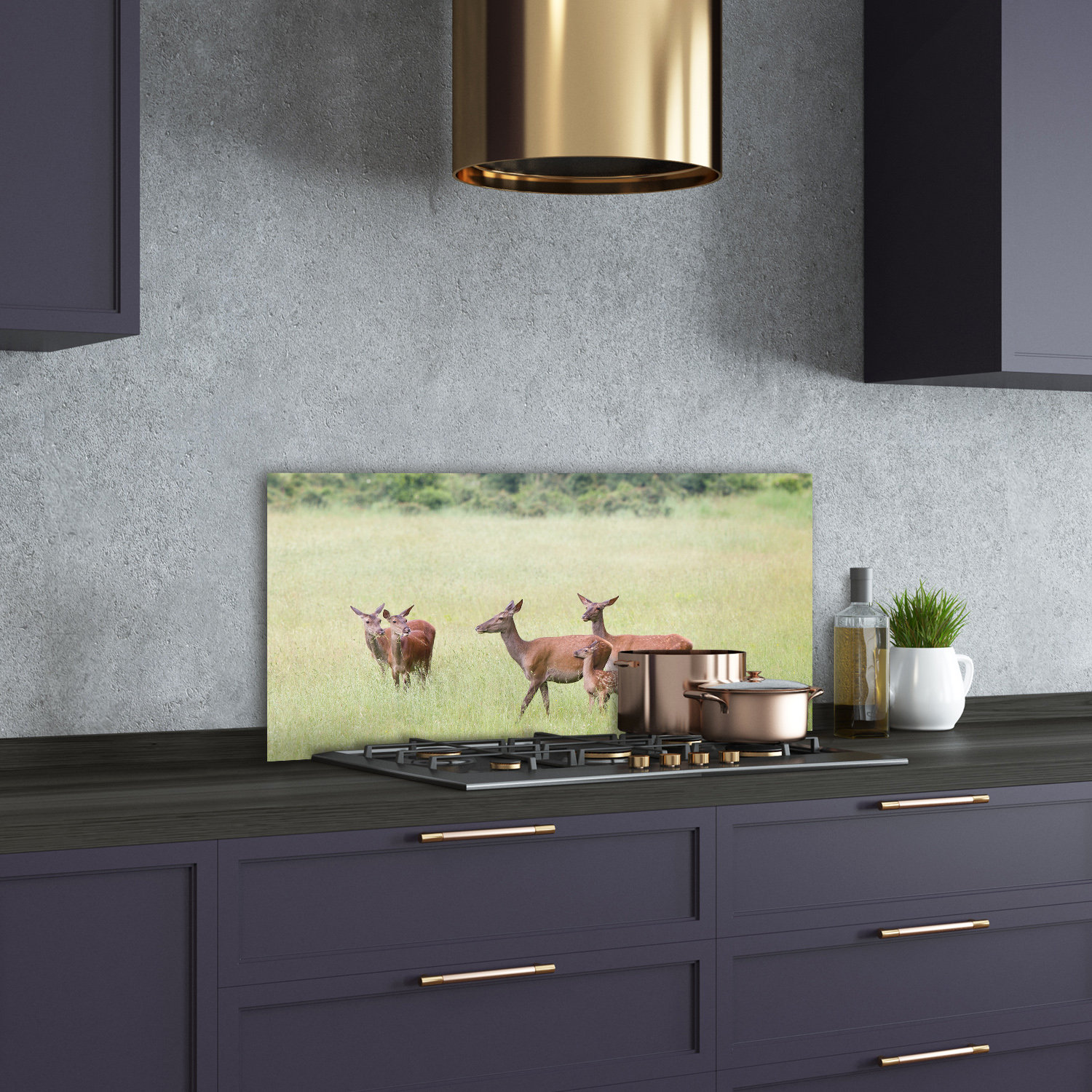 Union Rustic Roe with Young 50cm x 100cm Glass Panel | Wayfair.ie