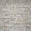 Elle Area Rug in Ivory / Multi-2036010758