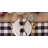 Mya-Rose Cotton Plaid Square Napkin-1584983219