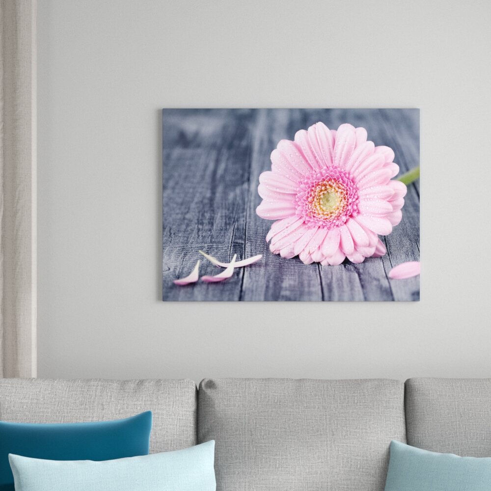 Leinwandbild Rosa Gerbera auf rustikalem Grund