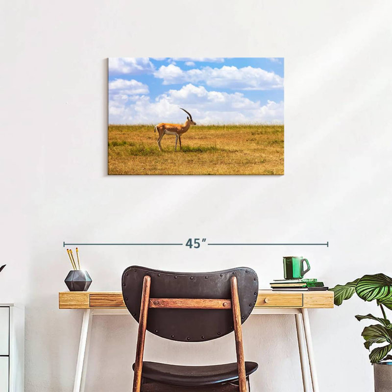 Gazelle Brampt dans la savane, H 20 po x l 30 po
