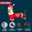 5 FT Christmas Puppy Dachshund Inflatable Decoration with Build-in LED