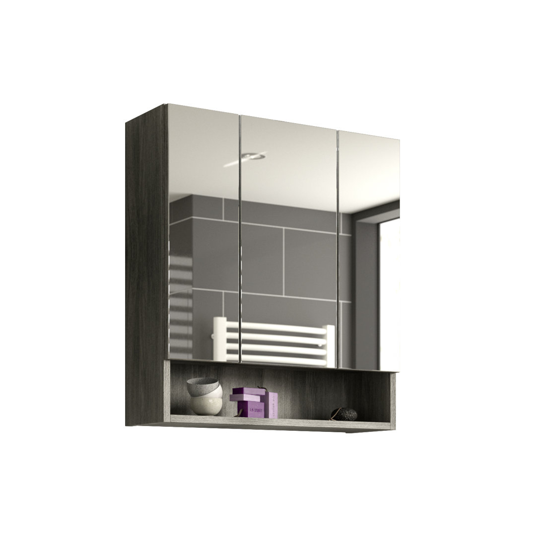 Gurvir 60cm x 68cm Surface Mount Mirror Cabinet