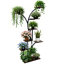 Plant Stand