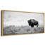 Vache animaux bison monochrome dans les plaines, reproduction d'art sur toile-98042337-111375423