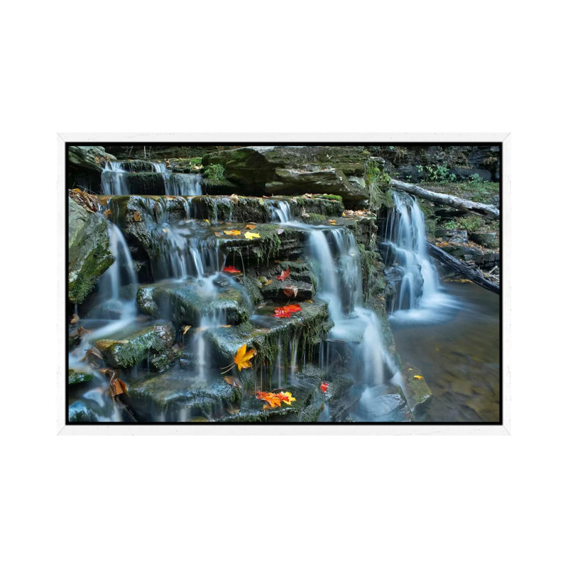 Kitchen Creek Cascades, Autumn, Ricketts Glen State Park, Pennsylvania 1 Piece Floater Frame Wall Art on Canvas, White