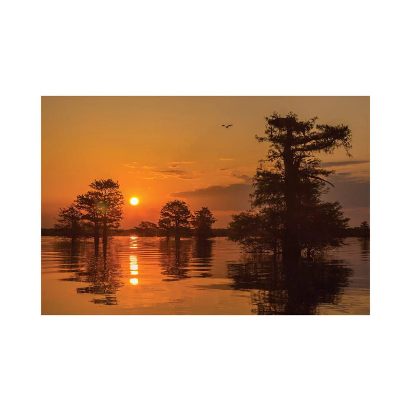 USA, Louisiana, Atchafalaya National Wildlife Refuge. Sunrise on swamp. 1 Piece Wrapped Canvas Wall Art