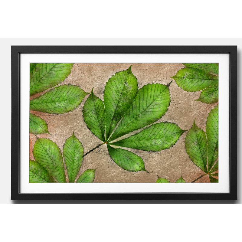 Streetart Chestnut - Single Picture Frame Print, 44cm H x 64cm W x 2.2cm D