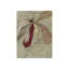 Fleur In Bloom III Print by Sarah Atkinson-26933876-26933869