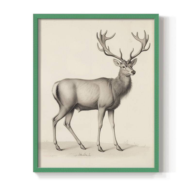 «Vintage Animal Print III», reproduction encadrée - bois massif, H 15 po x l 12 po, Vert