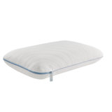 Sealy Dreamlife Performance Foam Medium Pillow, Standard