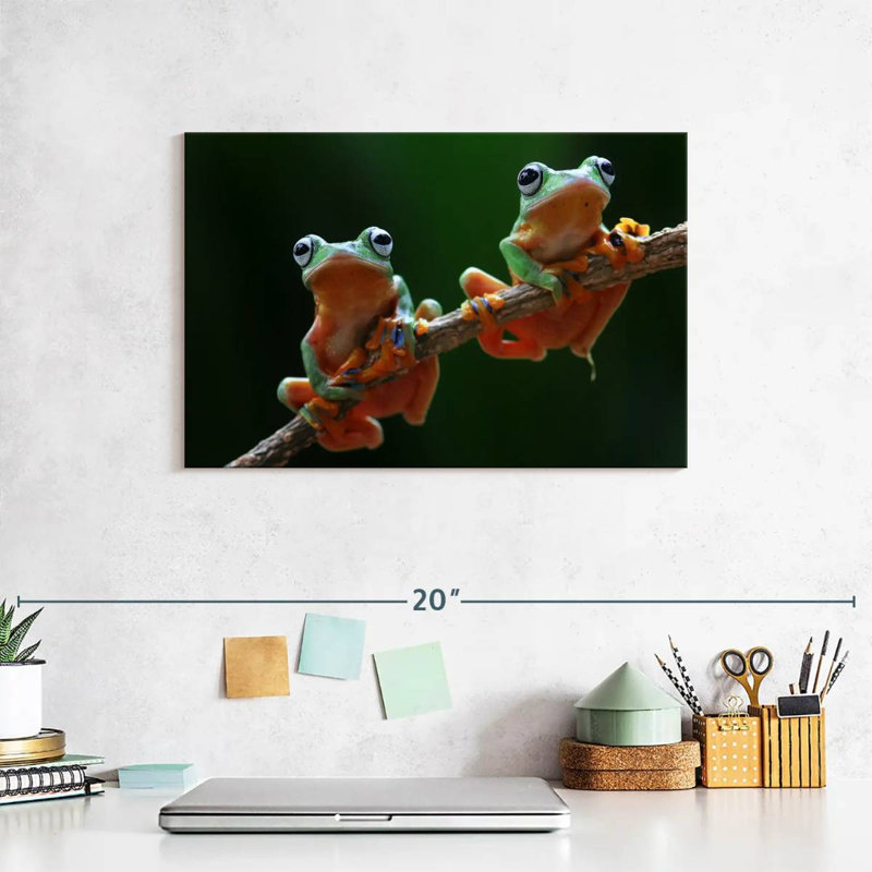 Two Wallace's Flying Frogs, 8" H x 12" W