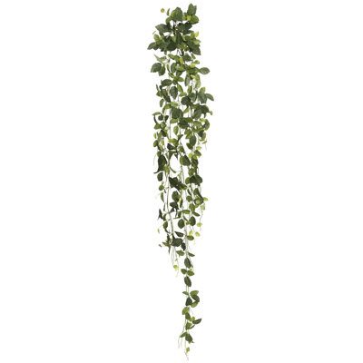 65'' Plant