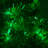 25.5' Steady LED String Lights-1634691382