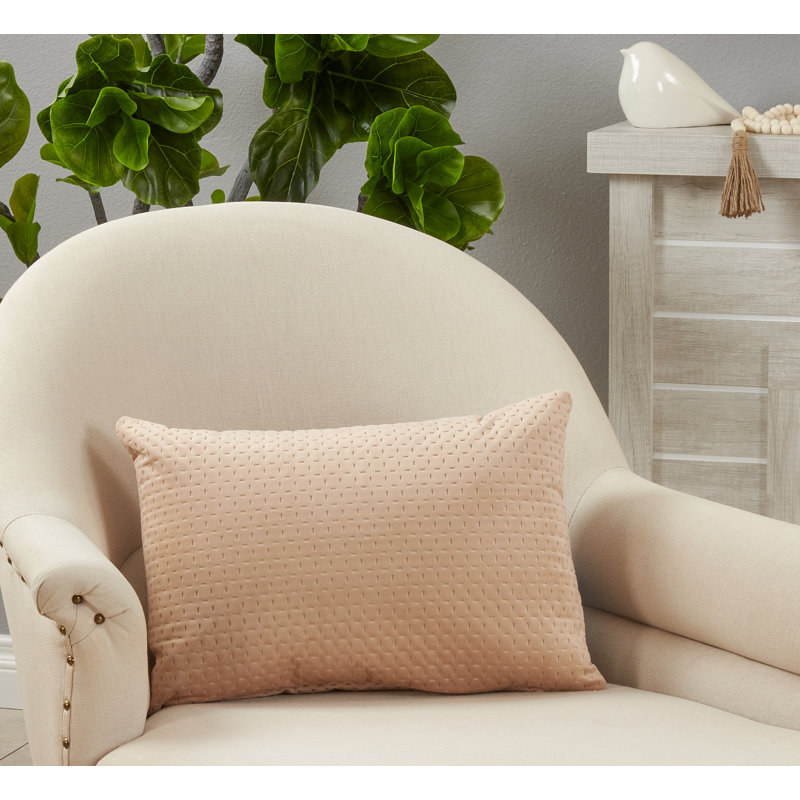 Beige Pinsonic Velvet Rectangular Throw Pillow Set