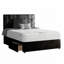 Ohiowa Upholstered Divan Bed-852021837-852021838-885538775