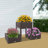 Raised Garden Bed Elevated Planter