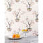 Kaki Persimmon-1129533121