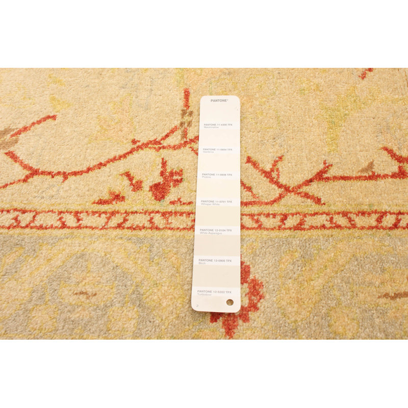 Tapis décoratif en laine noué à la main de conception unique Ivoire 4 pi x 5 pi 10 po Buleah