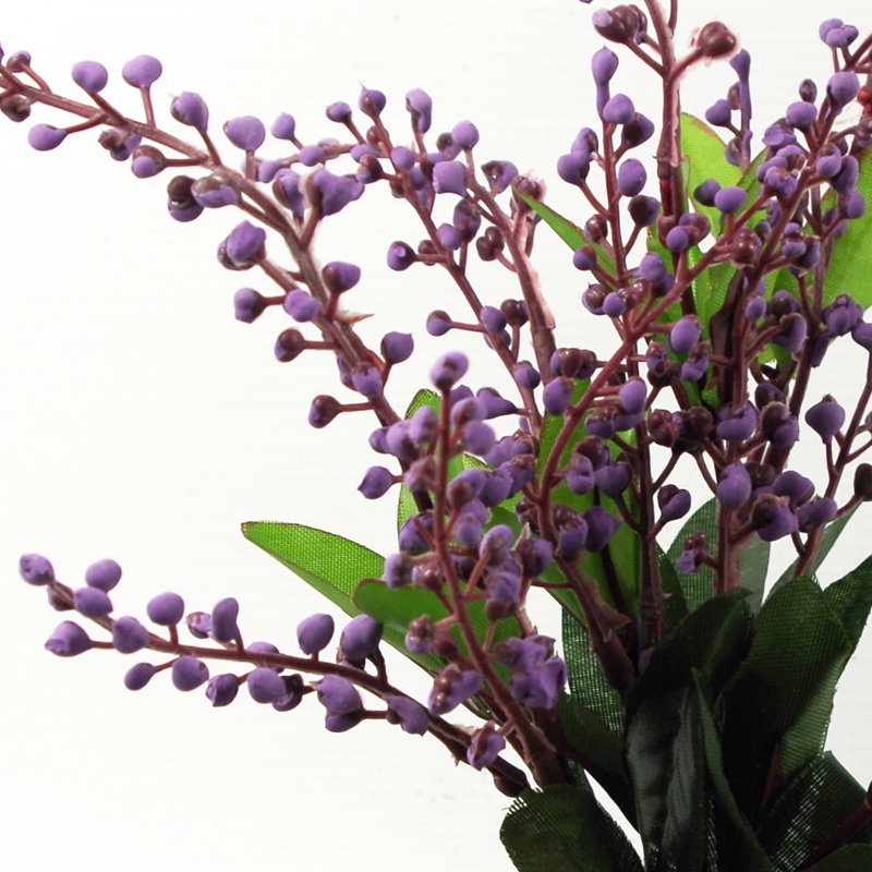 Annistin Arrangement in Planter