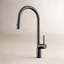 Swan Kitchen Faucet-70474108