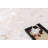 Addysan Abstract Indoor Rug-772372473