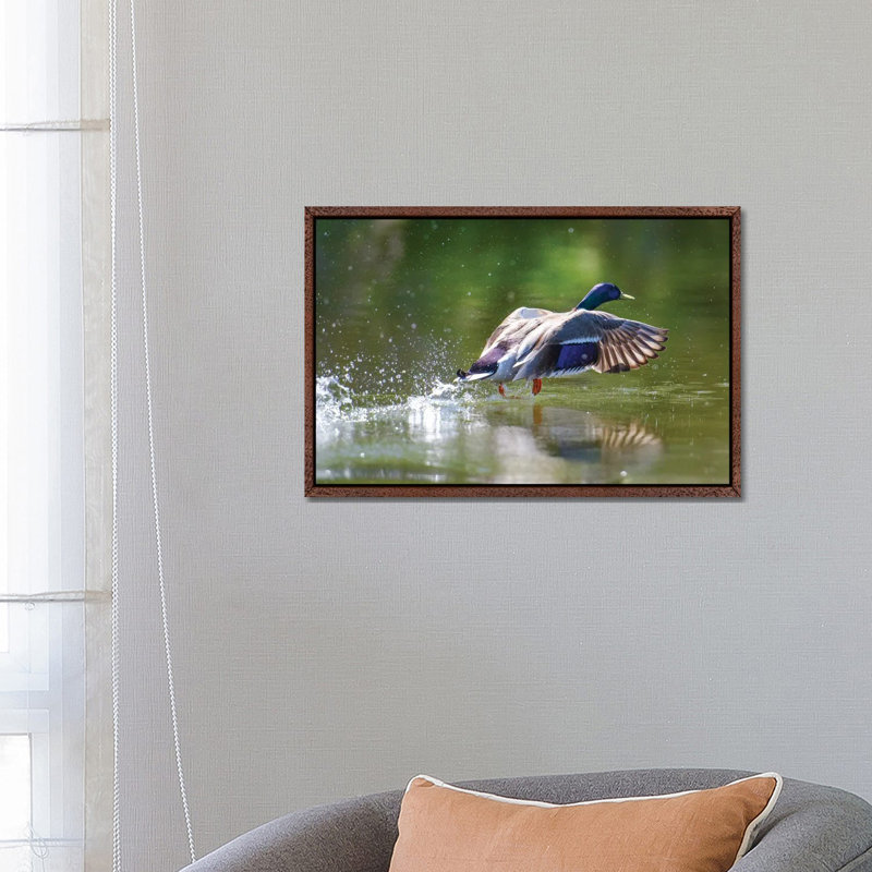 Lift off 1 Piece Wall Art on Canvas, 66.04 cm H x 45.72 cm W, Brown Framed