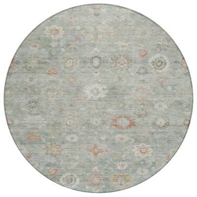 Machine Washable Indoor/Outdoor Xhevrie Sage Rug
