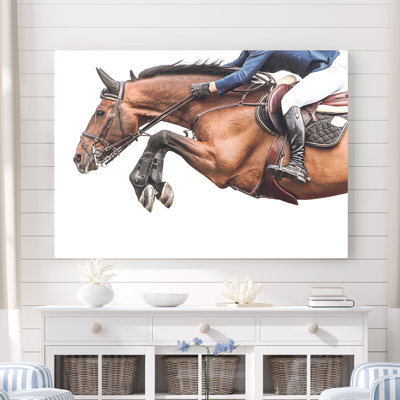 " Horse Jump "