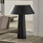Sesa Accent Rechargeable Table Lamp-131398622