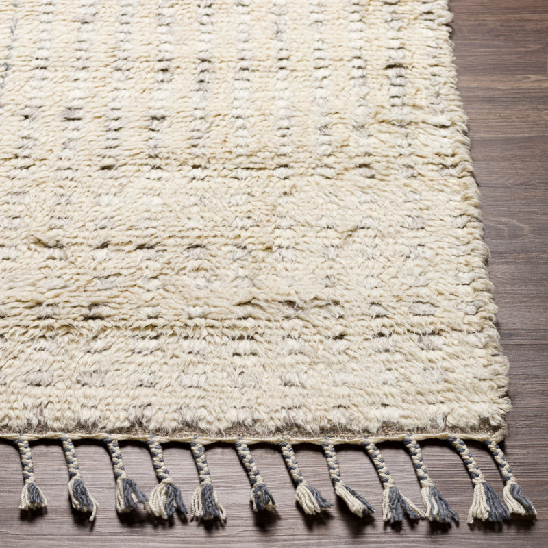 Kenady Hand Knotted Wool Area Rug, Rectangle 2' x 3'