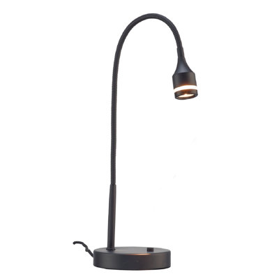 Winnie Adjustable Metal Arched Lamp