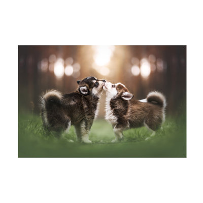 «Natalie Grosse Husky Love», art sur toile