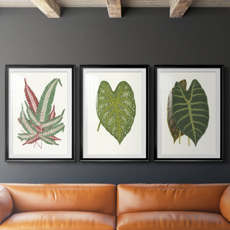 Feuilles de collection IV - impression encadrée sur mesure de qualité supérieure - 3 pièces, H 19 po x l 45 po