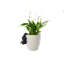 Cintre pour pot de cadeau Squirrel Pot